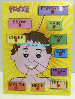 ของเล่นไม้-จิ๊กซอว์ไม้สอนคำศัพท์ภาษาอังกฤษ เรื่องอวัยวะต่างๆบนใบหน้า สอนให้เด็กๆได้รู้จักคำศัพท์ภาษาอังกฤษเรียกส่วนต่างๆบนใบหน้าของเรา จัดส่งฟรี