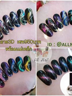 ชุดสีเจล Cat Eye 3D
