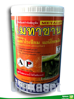เมทาซาน เชื้อรา เมตาไรเซียม อะนิโซเพล (Metarhizium anisopliae) ขนาด 500 กรัม/ แอปพลายเค็ม