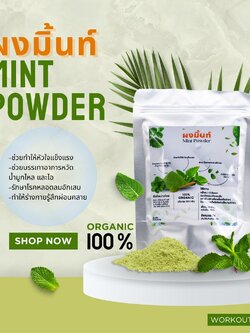 ผงใบมินท์ ผงมินท์ ออแกนิค