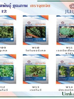 ผักซอง จุยเจีย ชุดที่ 12