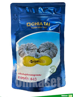 ฟักทอง ทองคำ443 เจียไต๋ 100 กรัม