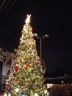 รับผลิตต้นคริสต์มาสขนาดใหญ่