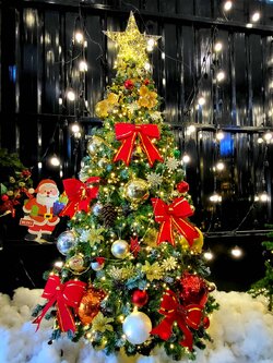 ให้เช่าต้นคริสต์มาสปลอม