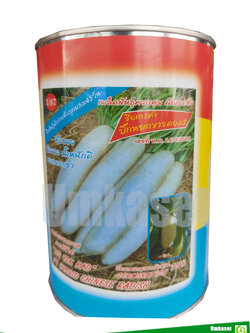 ผักกาดหัวลูกผสม พันธุ์บิ๊กหยกขาว ตอง 3/ บิ๊กสโนท์ไวท์ 3เอ ตอง 3 (450 กรัม)