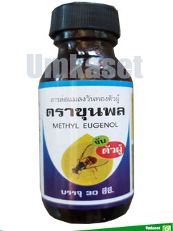 สารล่อแมลงวันทอง เมธิลยูจีนอล 30 ซีซี. / ตราชุนพล