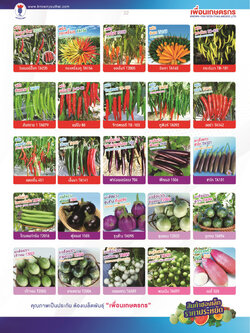 ผักซอง ตราเพื่อนเกษตรกร ชุดที่4