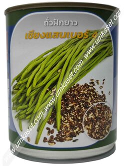 ถั่วฝักยาว (ถั่วเส้นเมล็ดลาย) พันธุ์เชียงแสน เบอร์4 ตราลูกโลก
