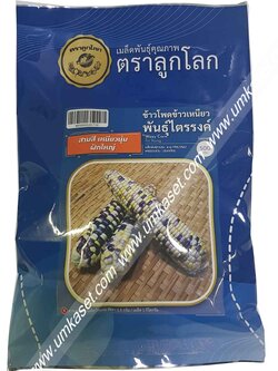 ข้าวโพดเข้าวเหนียว พันธุ์ไตรรงค์ OP ตราลูกโลก