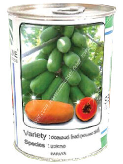 มะละกอฮอลแลนด์ โกลด์ ซีดไลน์ 20 กรัม