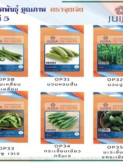 ผักซอง จุยเจีย ชุดที่ 5