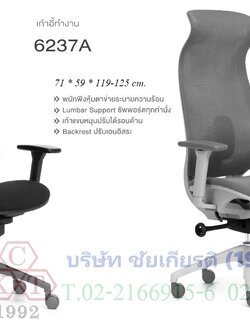 เก้าอี้ทำงานเพื่อสุขภาพ