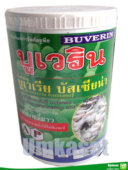 บูเวริน บูเวเรีย บัสเซียน่า ( 500 กรัม , 1กก) เชื้อราป้องกันกำจัดแมลงศัตรูพืช/ แอปพลายเค็ม