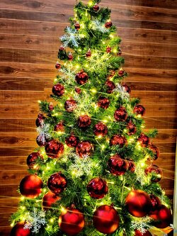 ร้านขายต้นคริสต์มาสปลอม