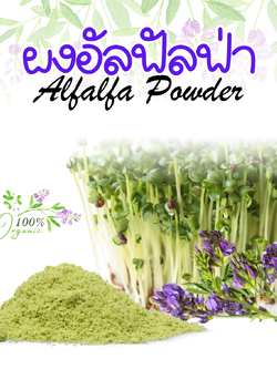 ผงอัลฟัลฟ่า Alfalfa