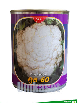 กะหล่ำดอก คูล60 ตราลูกโลก