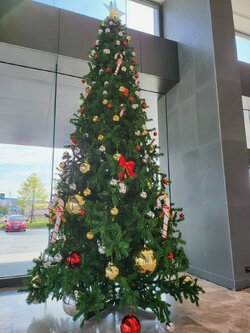 เลือกต้นคริสต์มาสปลอมง่ายๆ มาตกแต่งบ้าน