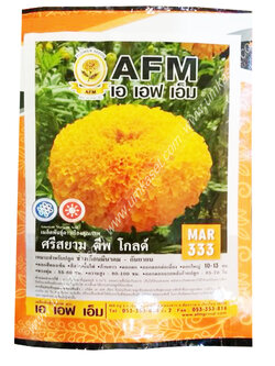 ดาวเรือง ศรีสยาม ดีฟโกลด์_MAR333