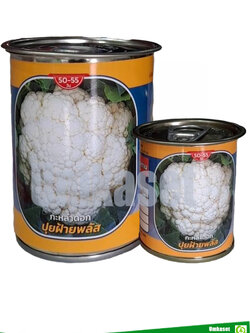 กะหล่ำดอก ปุยฝ้ายพลัส ตราลูกโลก