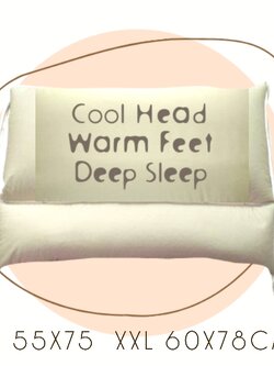 หมอนร้อยปี ปวดคอ นอนกรน XL XXL for neck pain