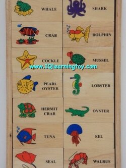 โดมิโนสัตว์ทะเลคำศัพท์ภาษาอังกฤษ เพื่อให้เด็กได้เรียนรู้ จดจำ และเข้าใจความสัมพันธ์ของภาพและคำศัพท์ ได้เรียงลำดับความคิด