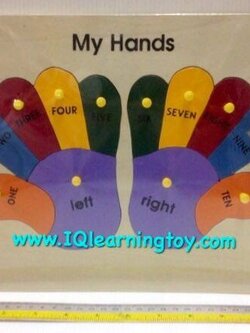 ของเล่นไม้-จิ๊กซอว์ไม้สอนคำศัพท์ภาษาอังกฤษ เรื่องนิ่วมือต่างๆทั้งซ้ายและขวา ให้เด็กๆได้รู้จักคำศัพท์ภาษาอังกฤษเรียกน้ิวต่างๆ ส่งฟรี