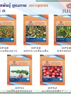 ผักซอง จุยเจีย ชุดที่ 8