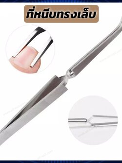 ที่หนีบทรงเล็บ คีมหนีบทรงเล็บ แบบปลายโค้ง