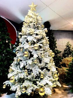 เรียกเราว่าต้นคริสต์มาสตกแต่ง