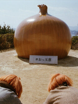 (Pre-Order) ภาพผลงาน The Little Onion