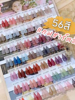 [56สี/เซต] ชุดสีเจลไซรัป ชุดสีเจลทาเล็บDirse 15ml พร้อมชาร์ตสี
