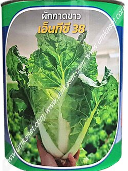 ผักกาดขาว เอ็นทีซี38 400 กรัม