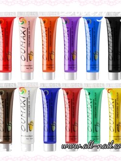 สีอะคริลิคเพ้นท์เล็บ 12สี (12ml.)