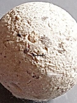 ลูกอมเนื้อปูนผสมผงพุทธคุณ หลวงปู่ดู่วัดสะแก (ลูกแก้วมณีนพรัตน์ หรือลูกแก้วสารพัดนึก)