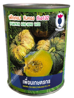 ฟักทอง คิงคอง TA132