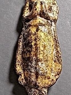 พระกรุวัดเลียบ สะพานพุทธ กทม. ปางยืนห้ามสมุทร เนื้อตะกั่ว มีทองเดิมๆ