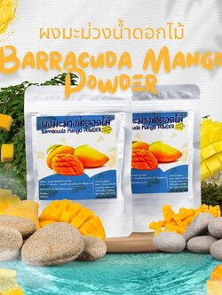 ผงมะม่วงน้ำดอกไม้ mango