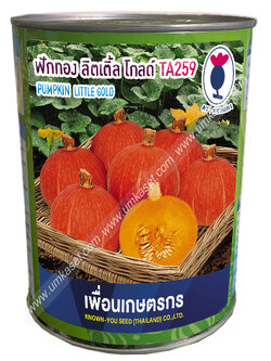 ฟักทอง ลิตเติ้ลโกลด์ TA259