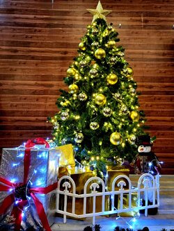 ร้านขายต้นคริสต์มาสปลอม