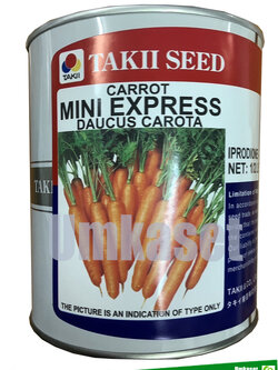 แครอทมินิ เอ้กเพรส ( เบบี้แครอท ) 0.5 ปอนด์