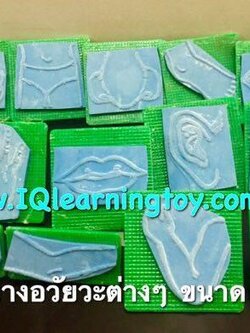 ตรายาง ชุดภาพอวัยวะต่างๆในร่างกาย ขนาด 2 นิ้ว ภาพสวยคมชัด มีด้ามจับถนัดมือ ทนทาน ใช้ได้นาน คุ้มค่าจริงๆค่ะ ส่งฟรี