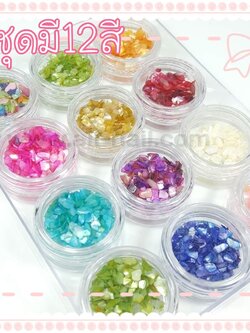 เปลือกหอย #1