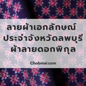 ลายผ้าเอกลักษณ์ ประจำจังหวัดลพบุรี "ผ้าลายดอกพิกุล"