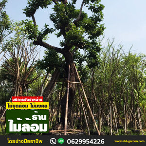 ร้านไม้ล้อม ที่คน..... เลือกใช้บริการ ปี 2565