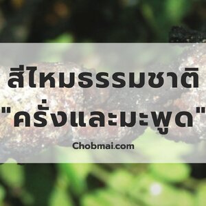 สีไหมธรรมชาติจาก " ครั่งและมะพูด"