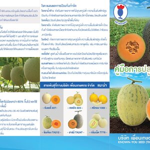 คู่มือการปลูกเมล่อน