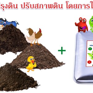 แกลบดําราคาส่ง 080-3296882 จำหน่ายปุ๋ยคอก ขี้วัวนม ปุ๋ยขี้หมู ขี้ไก่ล้วน ขี้ไก่แกลบ มูลวัว จัดส่งทั่วประเทศ