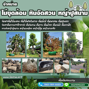 ปูหญ้าเทียมหน้าบ้าน โทร 062-1596623 รับจัดสวน น้ำตกหินเทียม จัดสวนหน้าบ้าน ทำน้ำตก ปูหญ้า จัดสวนหย่อม