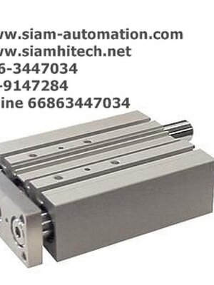 Cylinder SMC MGPM20-100Z