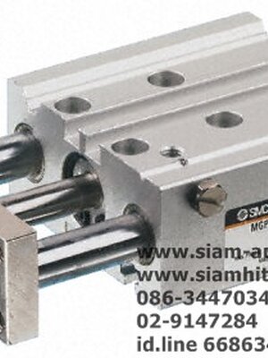 Cylinder SMC MGPM12-30Z